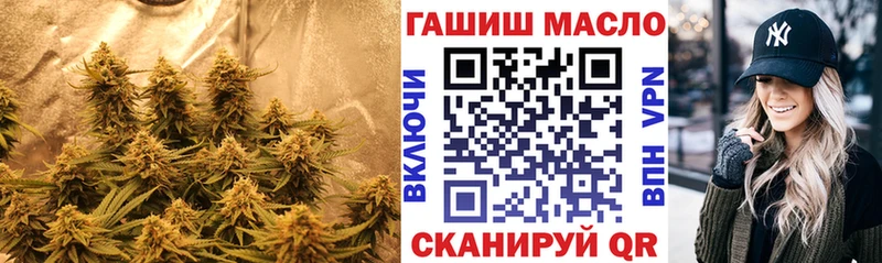 OMG ссылка  Межгорье  Дистиллят ТГК Wax 
