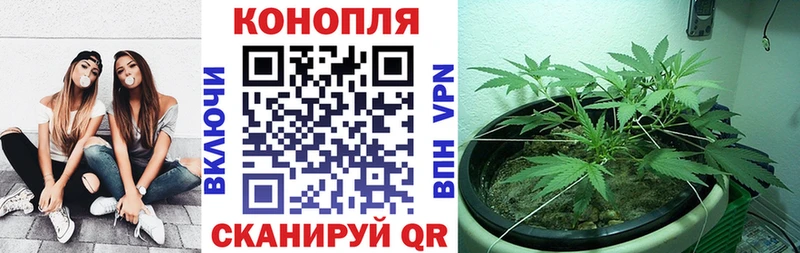 kraken tor Межгорье Бошки Шишки VHQ